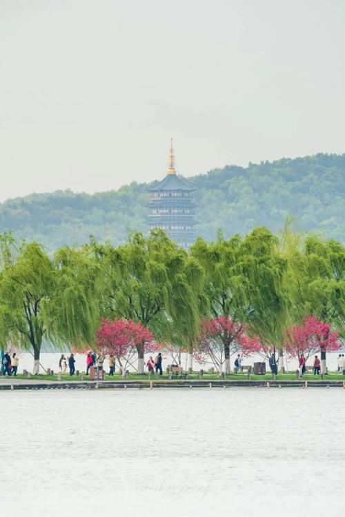 春节杭州旅游, 精彩活动与温馨路线推荐