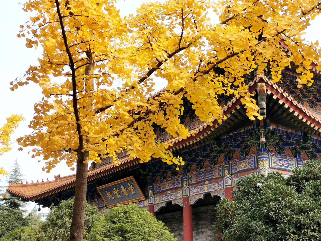 西安丰富的旅游资源