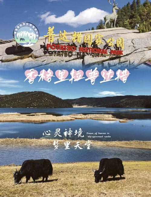 一月的普达措国家公园、怒江适合自驾游吗?路况怎么样