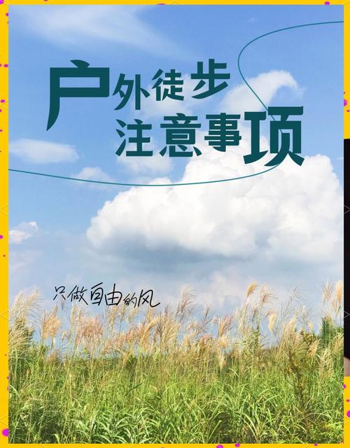 出发前的准备工作