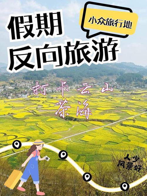 开阳云山茶海自驾游攻略,开阳旅游景点攻略