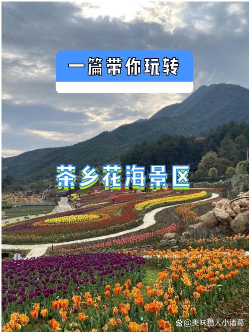 茶山村攻略五一茶山村自驾攻略
