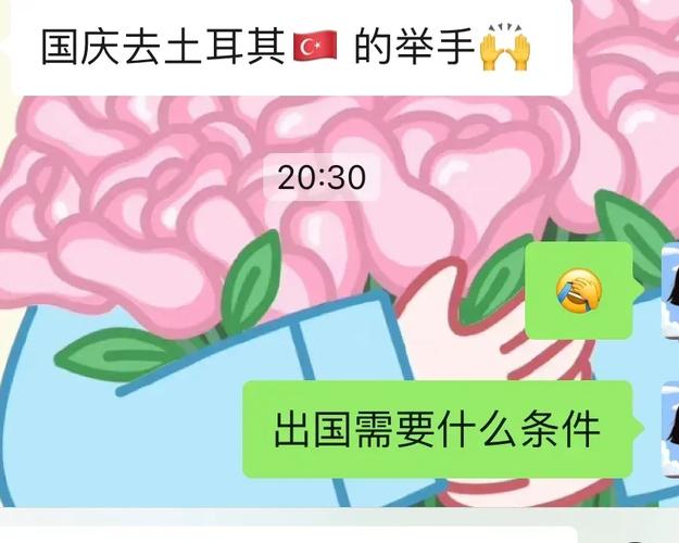 没钱但是很想出国旅游怎么办