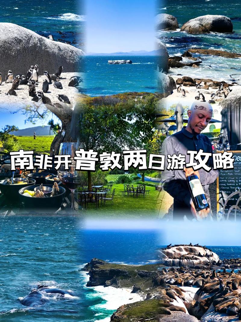 2月20日去南非旅游穿什么衣服