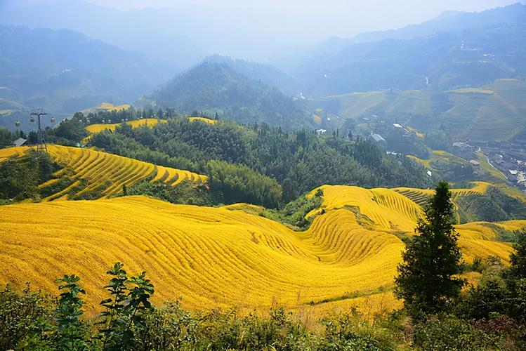 5月国内最佳旅游地点有哪些?