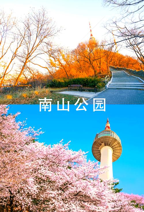 去韩国旅游想租车自驾可以吗