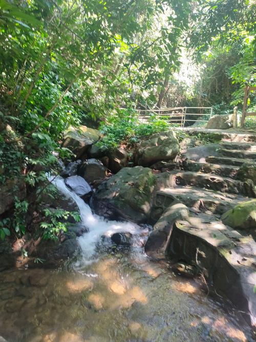 肇庆古镇旅游景点,肇庆市附近的景区推荐景点