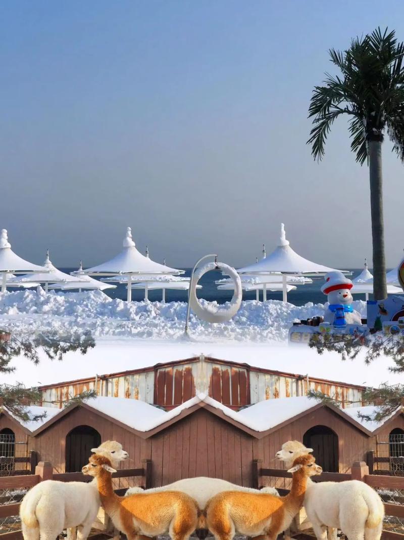 春节孩子旅游？春节旅游适合孩子玩的地方？(知乎）