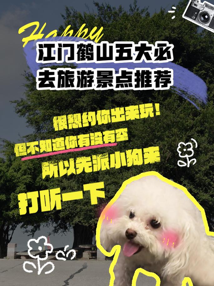 去鹤山游玩,有哪些注意事项需要了解?