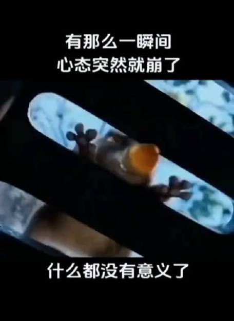 一个人出国旅行,有过哪些崩溃瞬间?