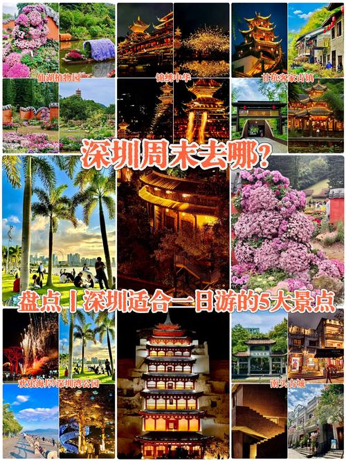 春节深圳旅游攻略景点推荐