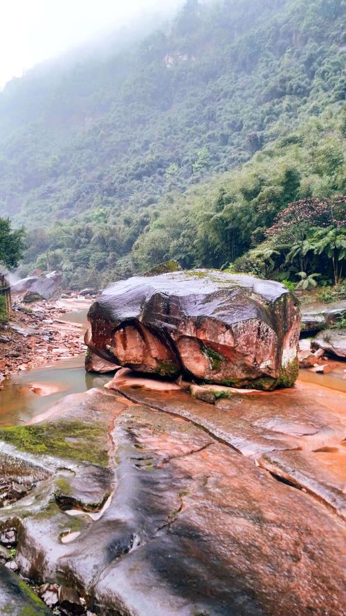 自贡到贵州赤水大瀑布、四洞沟景区、赤水竹海如何自驾游