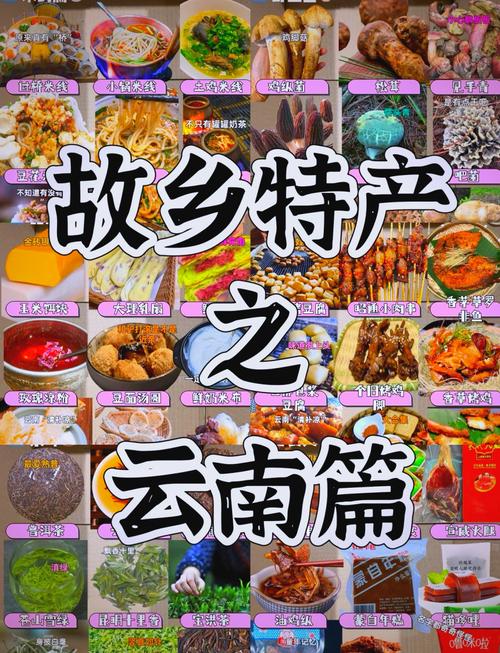 云南有哪些美食特产和好玩的地方?