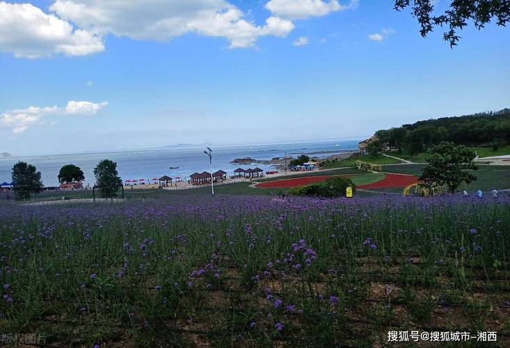旅顺春节旅游，旅顺过年有什么好玩的(2024头条知乎已更新）