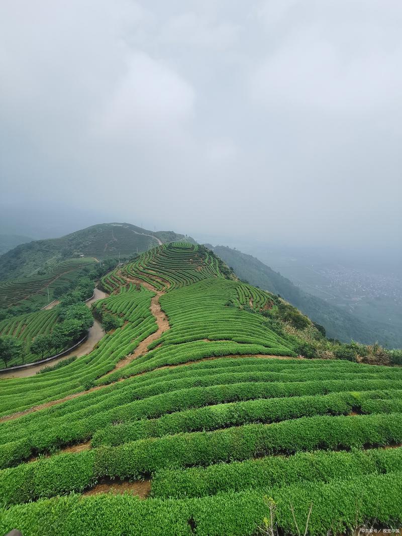 青岛茶山风景区一日游攻略