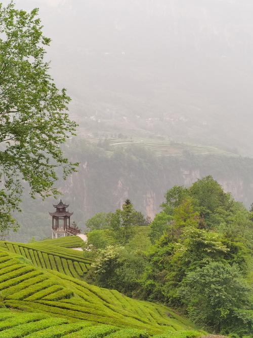 河北茶山旅游景点的攻略