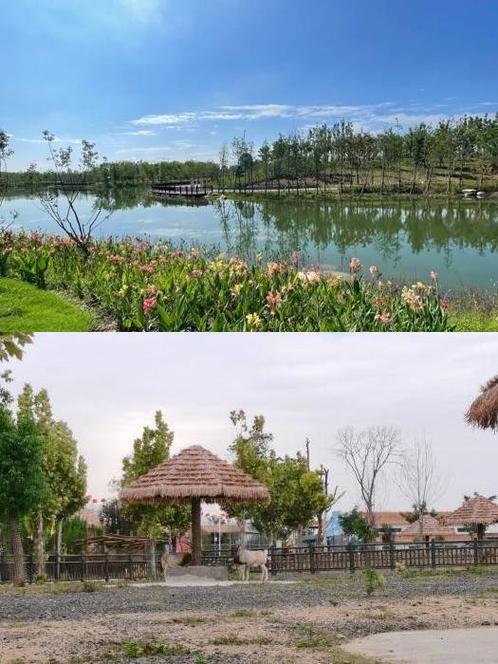 阜阳周边有哪些景点适合自驾游,阜阳临泉周边旅游景点推荐自驾游