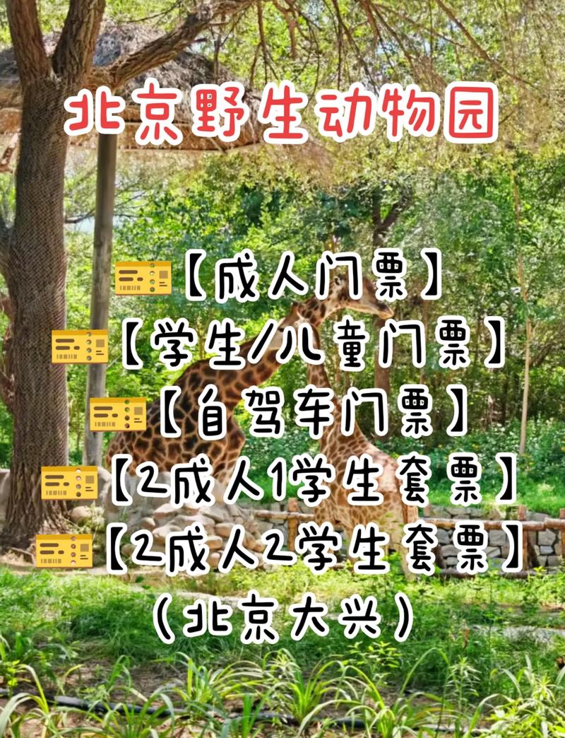 春节大兴旅游？北京大兴春游？(知乎）