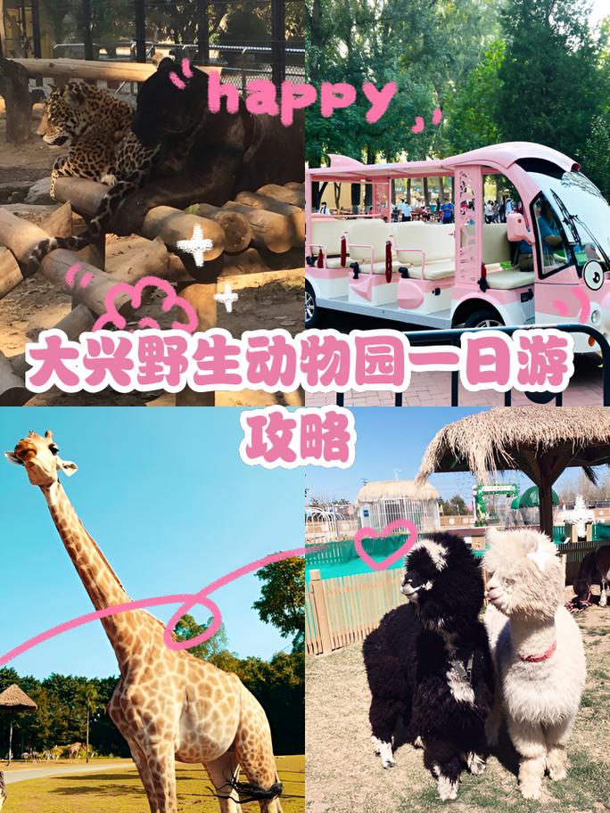 北京大兴野生动物园春节期间开吗