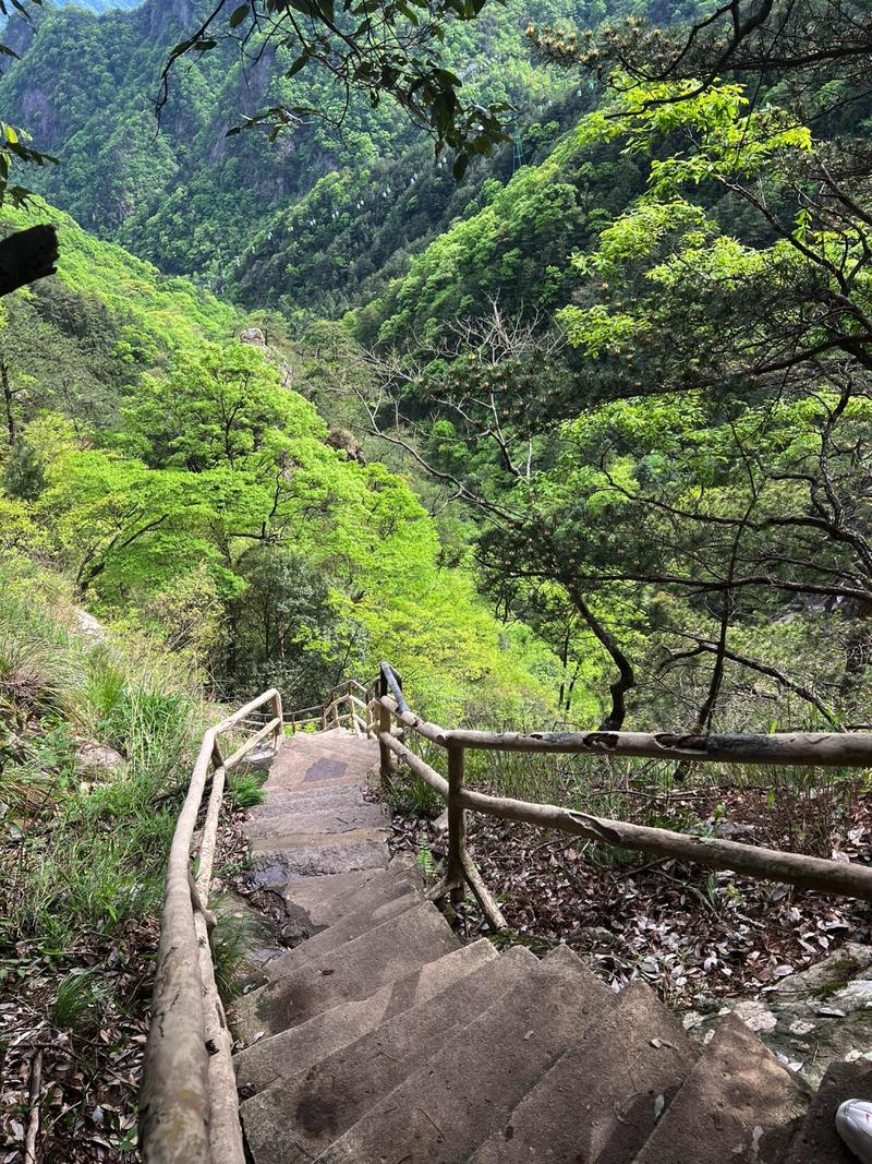巨野自驾旅游，巨野附近旅游景点一日游(2024头条知乎已更新）