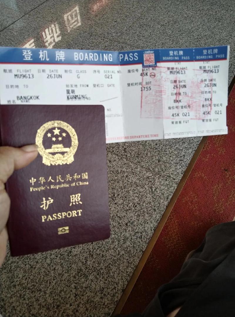 什么是旅游护照