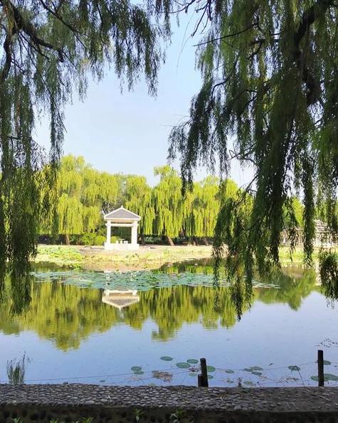 乐亭旅游免费景点