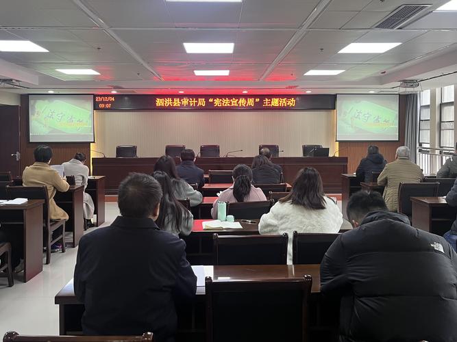 县审计局对违规公费出国,公款旅游问题有何措施