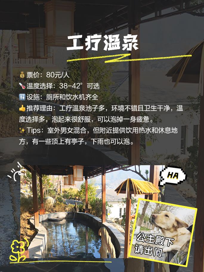温泉过年旅游攻略,如何在温暖中迎接龙年的到来?