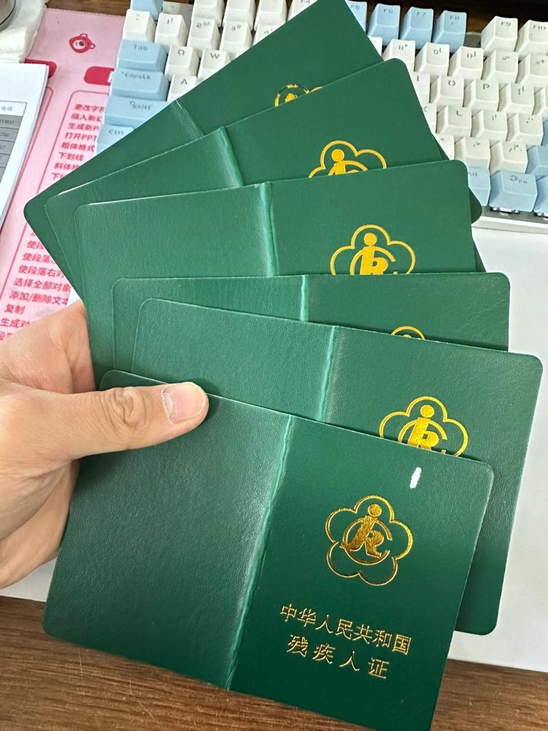 一级残疾人国家补贴