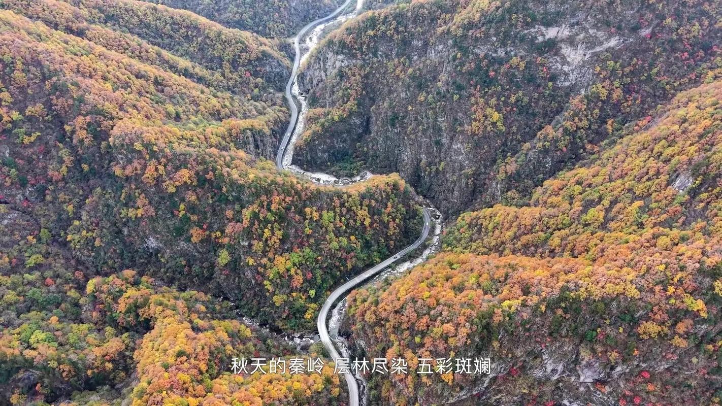 秋季醉美自驾线在秦岭!彩林不输川西,9月起即将美爆