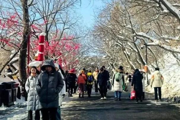 辽宁各大景区景点人流爆棚