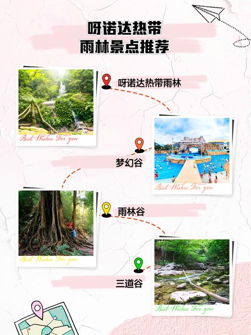 国内旅游雨林，国内旅游雨林有哪些(2024头条知乎已更新）