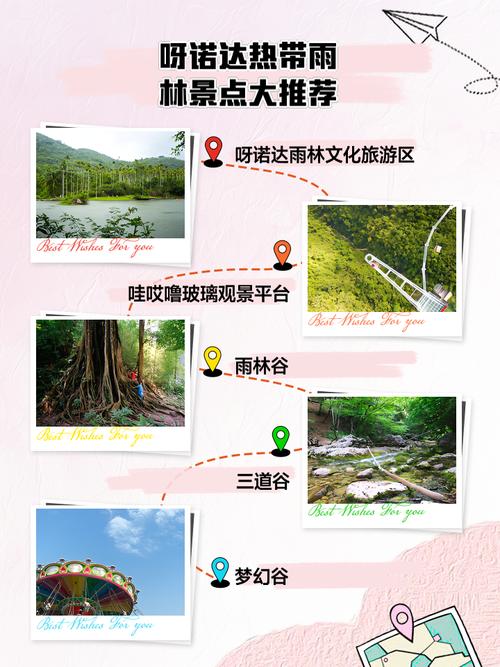呀诺达雨林文化旅游区旅行时有哪些事项需要特别注意?