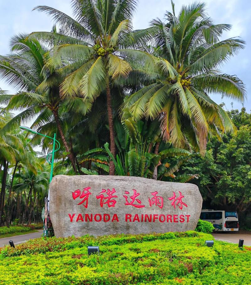 呀诺达雨林文化旅游区有哪些适合拍照的景点?