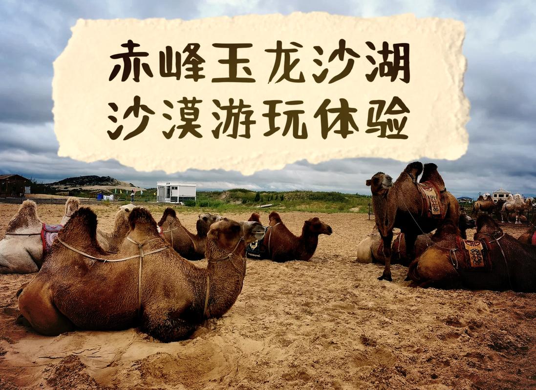 玉龙沙湖自驾游攻略