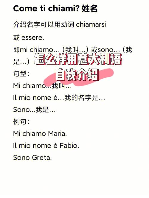 意大利说什么语言为主