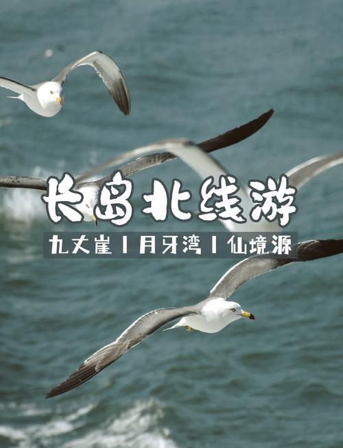 自驾长岛怎么上岛最方便,烟台蓬莱长岛自驾旅游攻略