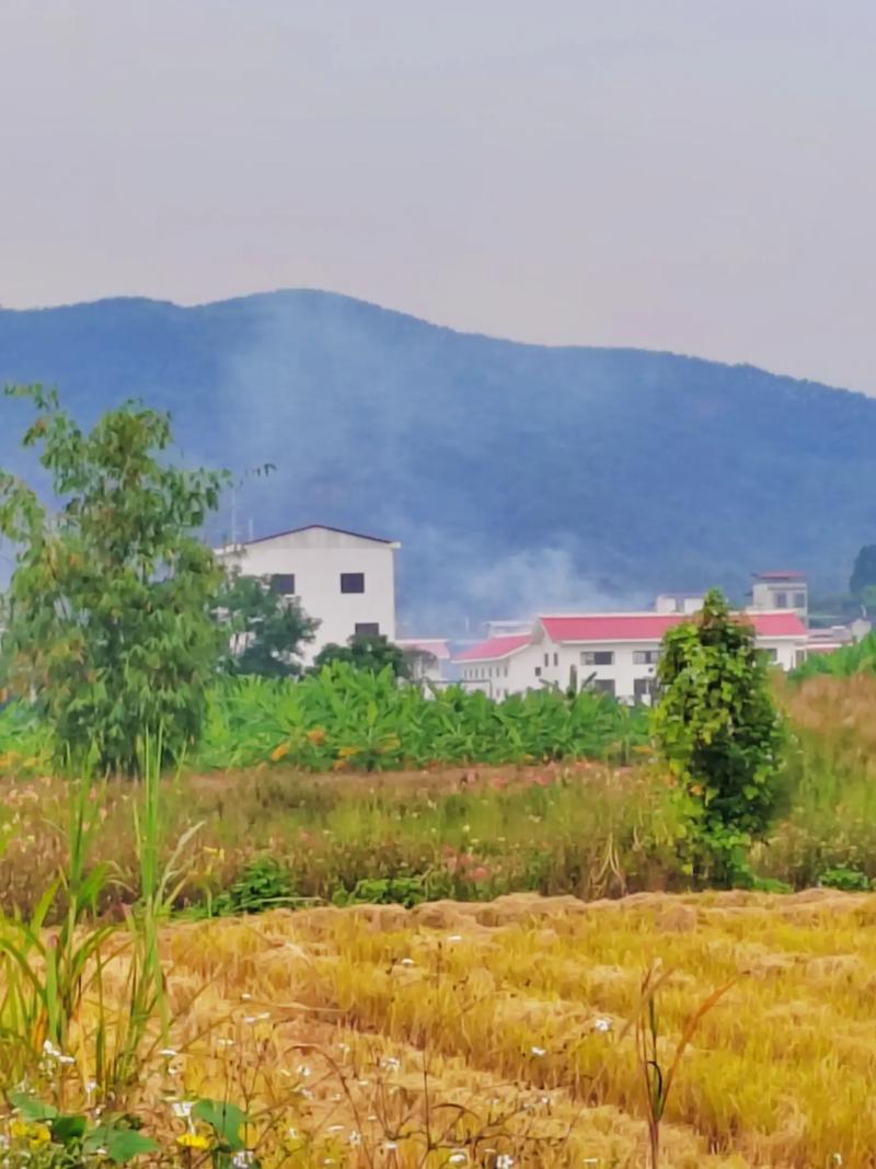 广西柳州周边自驾游景点推荐