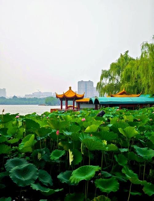 济南旅游自驾，济南旅游自驾方便还是坐车方便(2024头条知乎已更新）