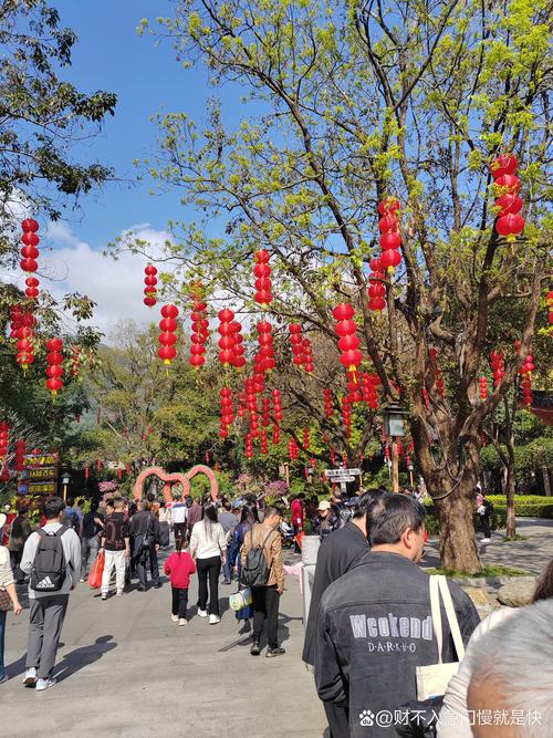春节去哪旅游最合适