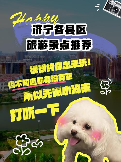 济宁春节旅游指南济宁春节旅游