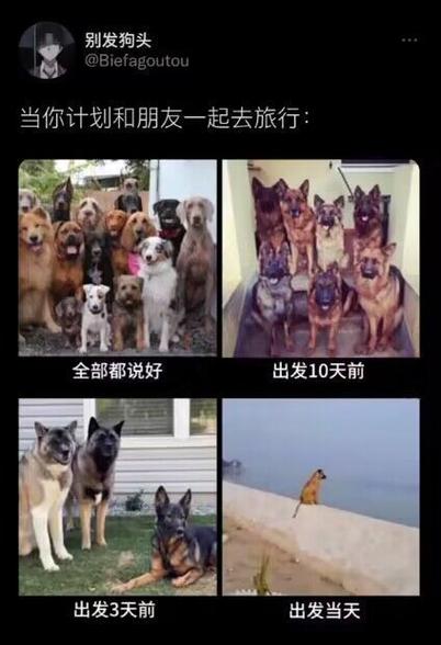 和朋友一起出去旅行,你最不能忍受哪些事?