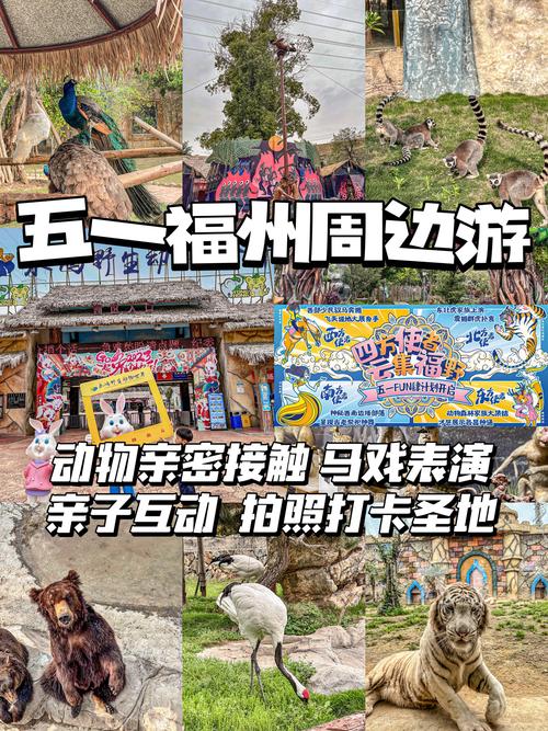 五一福州周边一日自驾游推荐,五一福州自驾带宝宝旅游