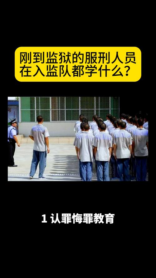 我想去凌源监狱探监,请问他们过年放假放到初几,什么时候可以探监,急啊...